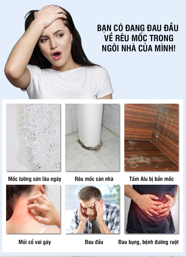 Tẩy mốc tường HGO CLEAN chuyên dùng tẩy mốc tường sơn lâu ngày, sàn xi măng bị rêu mốc, bề mặt tấm alu bị bẩn chai 500ml