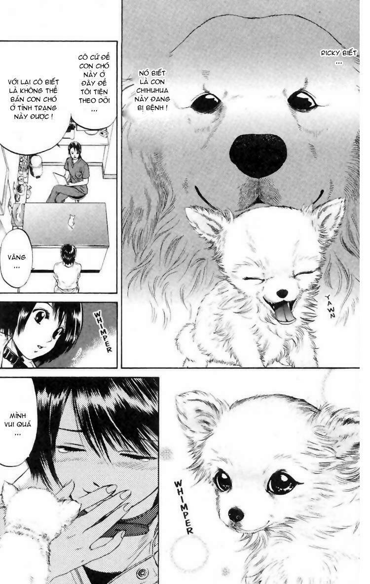 cô nàng yêu chó chapter 6 5