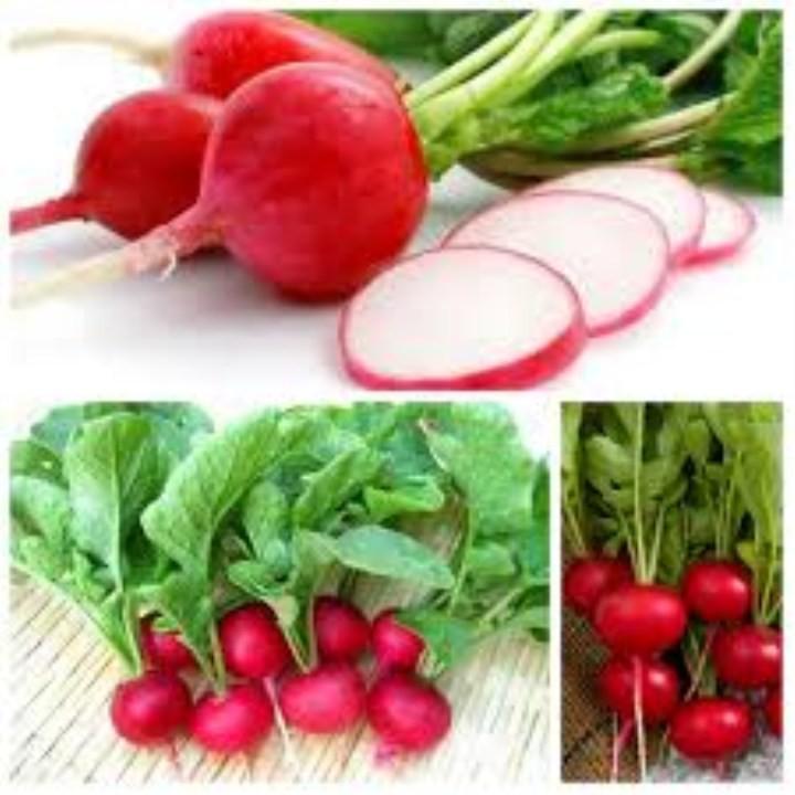 Hạt giống CỦ CẢI ĐỎ CHERRY, CỦ CẢI ĐỎ MINI, CỦ CẢI ĐỎ BABY chịu nhiệt dễ trồng