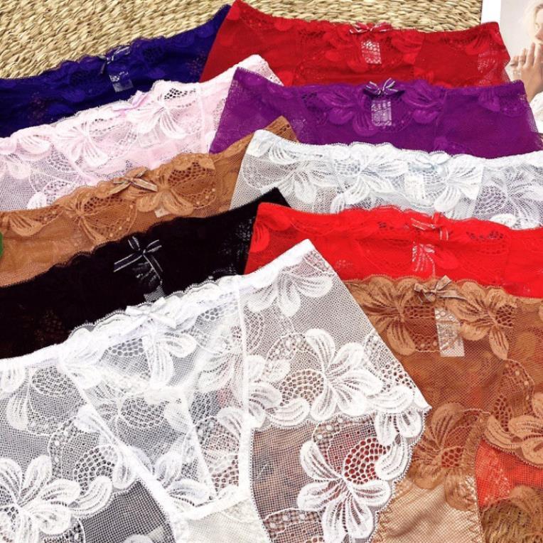Quần Lót Ren ️Quần Lót Ren Đùi, Quần Bigsize Dành Cho Người Béo - Elisa Shop
