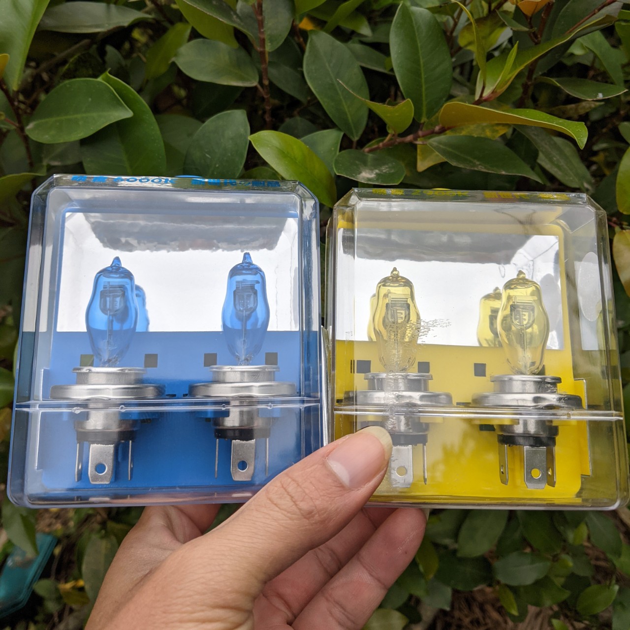 Set bộ 2 bóng đèn pha Xenon ô tô xe máy siêu sáng H4 100W HOD 6000K siêu bền, phụ kiện đồ chơi xe hơi