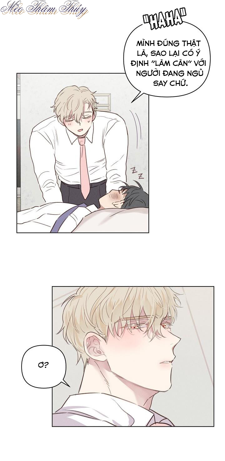 nơi tình yêu định mệnh chapter 2 24