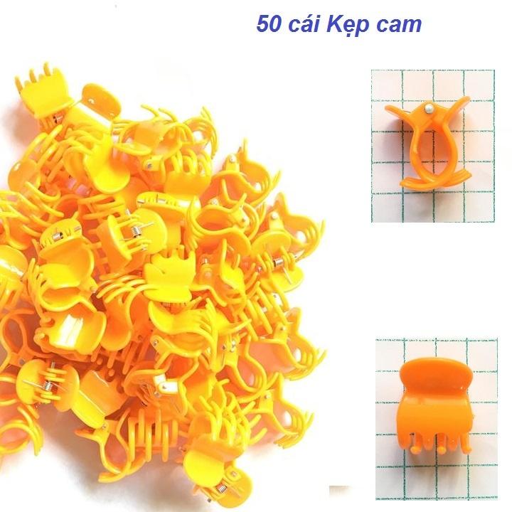 Set 50 cái kẹp hình con bướm to 2cm màu cam, chất lượng cao dùng để kẹp cành cây, cành hoa lan.