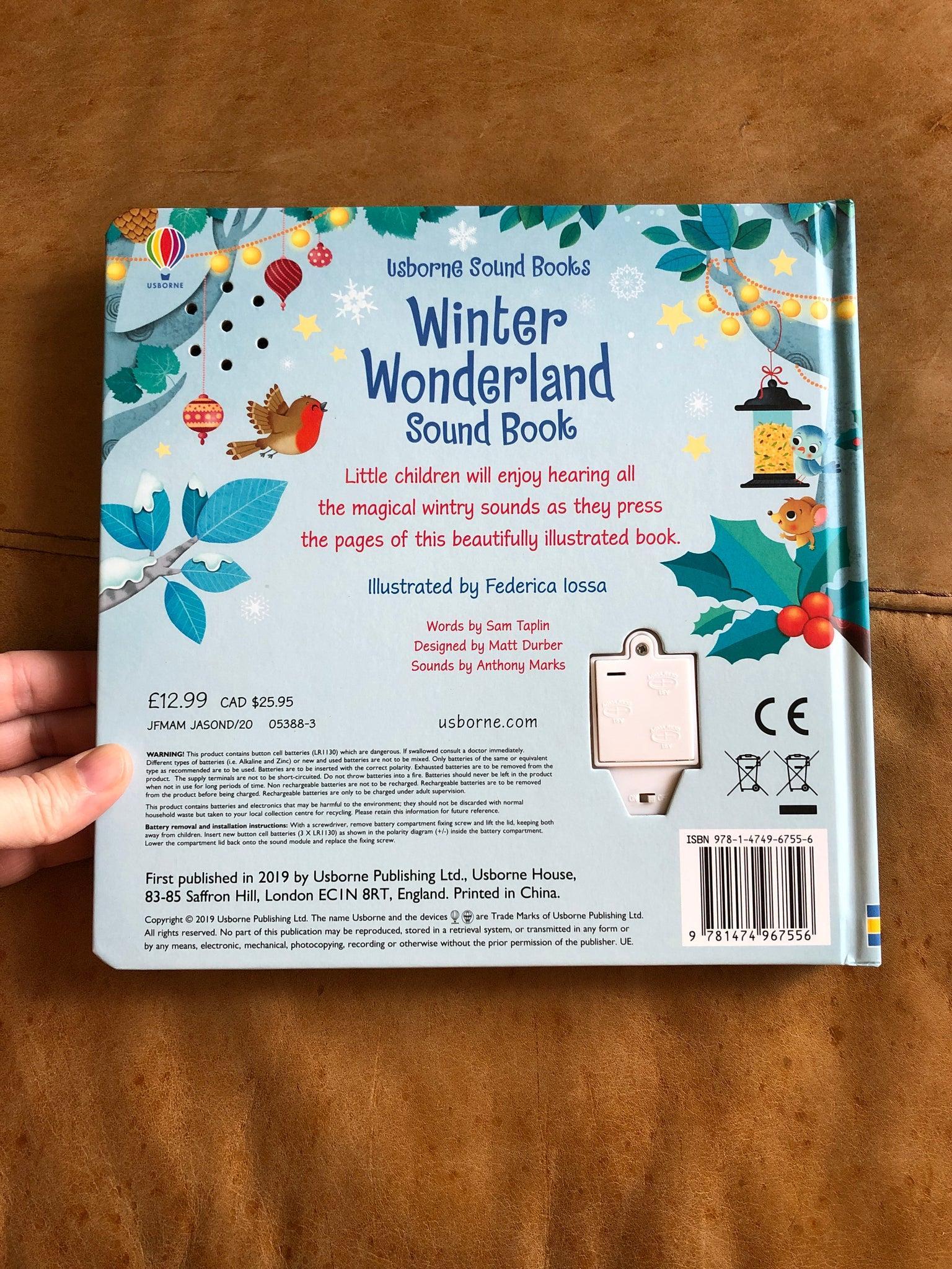 Winter Wonderland Sound Book