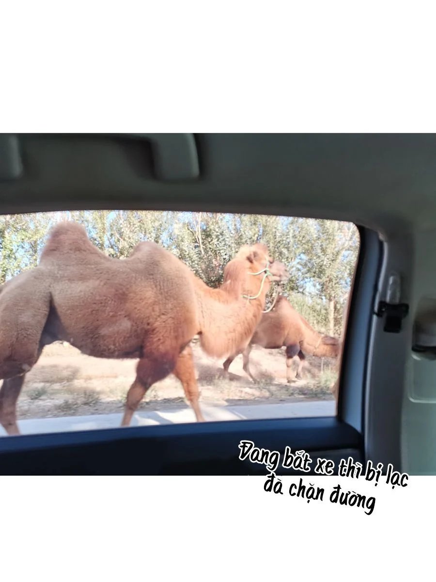 đừng nói yêu tôi (don't say you love me) chapter 64.1 4