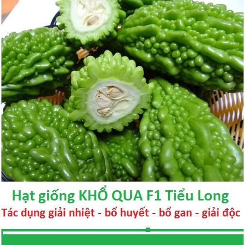 Hạt giống khổ qua F1 - khổ qua tiểu long siêu trái