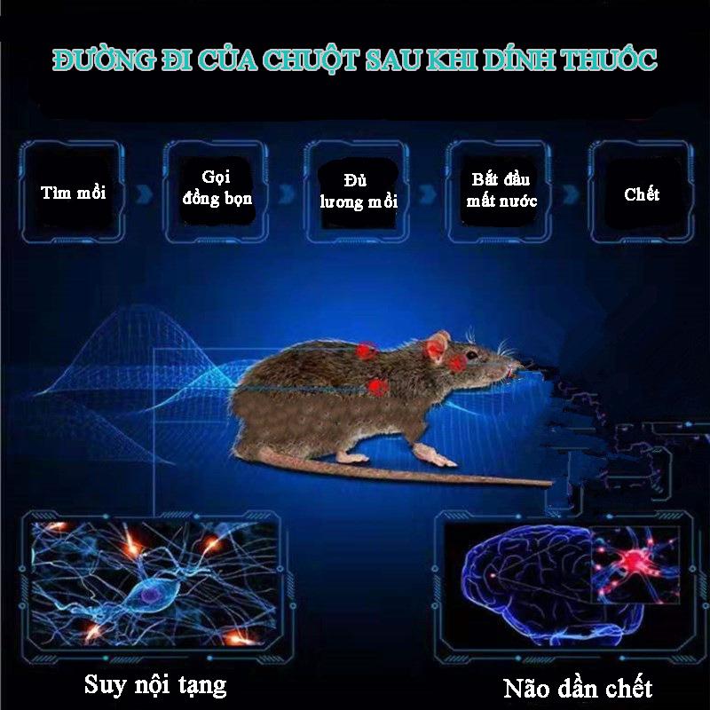 Thuốc diệt chuột, trừ chuột sinh học FOWARAT trộn sẵn gói 30gr