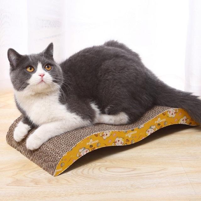 TẤM CÀO MÓNG CHO MÈO TẶNG KÈM CỎ CATNIP SIZE M