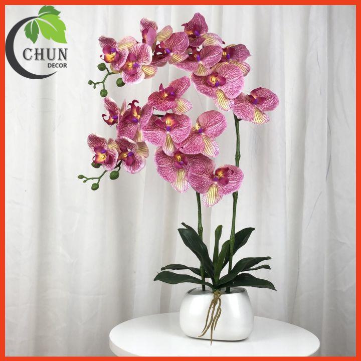 Chậu hoa giả lan hồ điệp để bàn 2 nhánh cao 60cm trang trí nhà cửa, bàn làm việc, kệ tủ siêu đẹp CL2