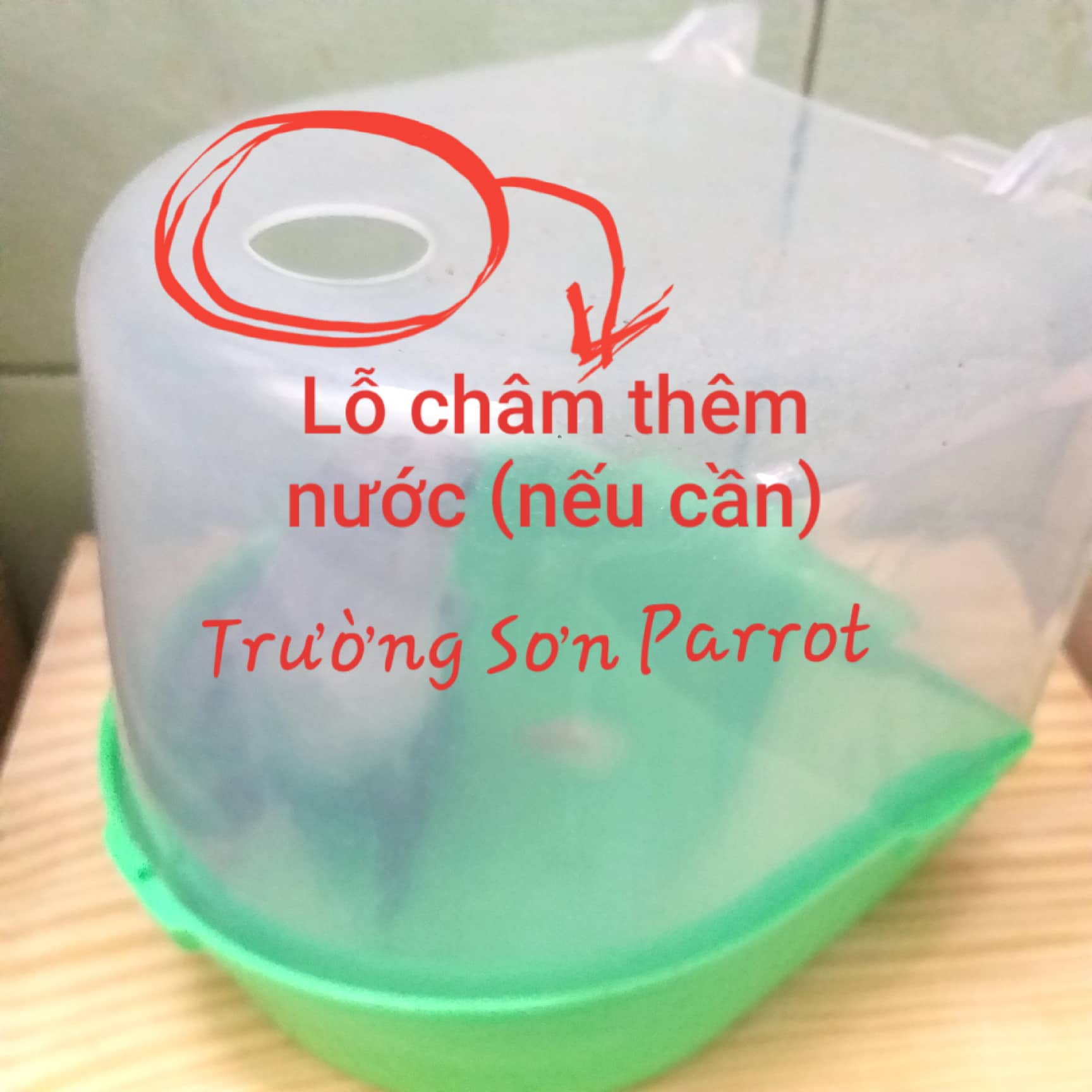 Hộp tắm cho chim cảnh, vẹt nhỏ và trung như yến phụng, lovebird, yến hót, chào mào...