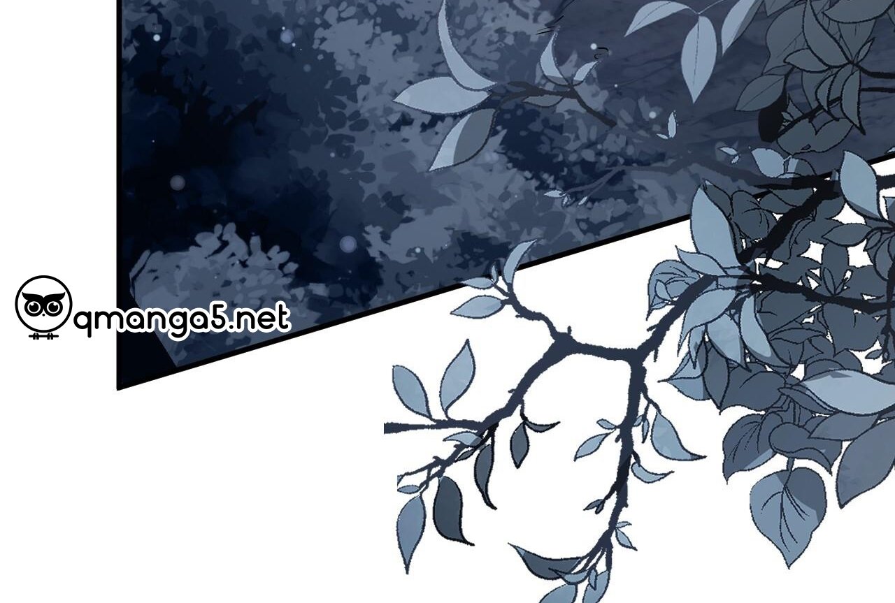 những chú thỏ của hapypy chapter 61 184