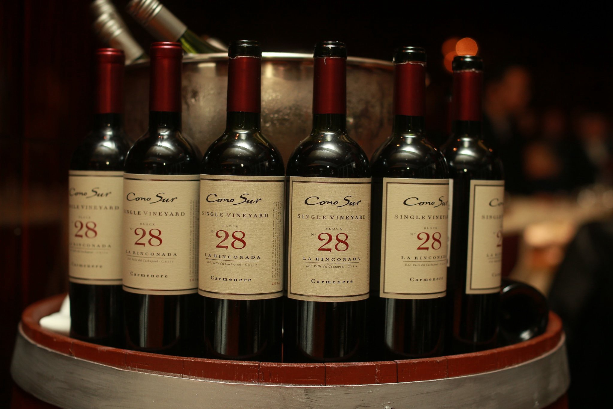 RƯỢU VANG ĐỎ CHILE SINGLE VINYARD 28 CARMENERA