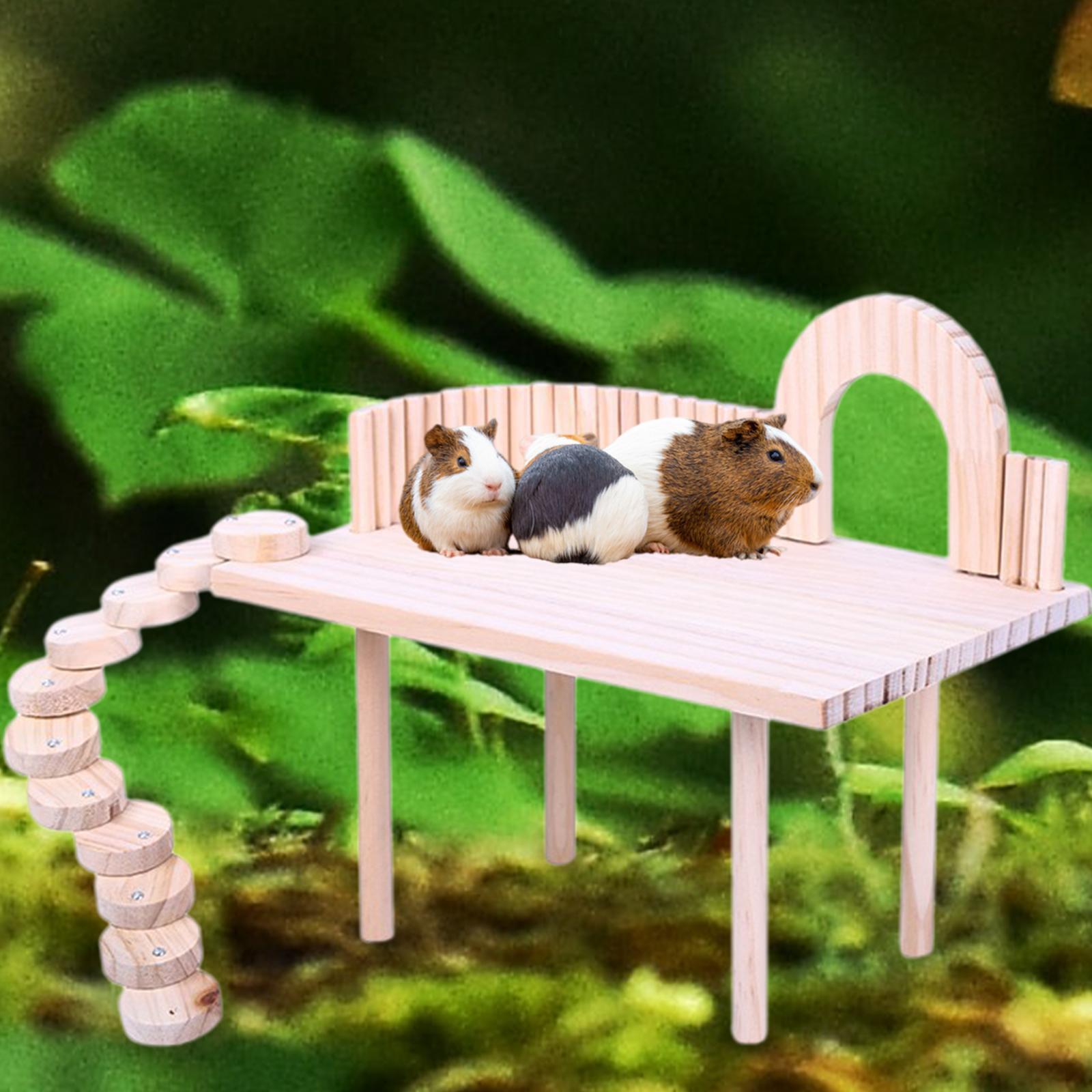Natural Wood Platform Stand Molar Toys Board for Small Pets Gerbil Exercise