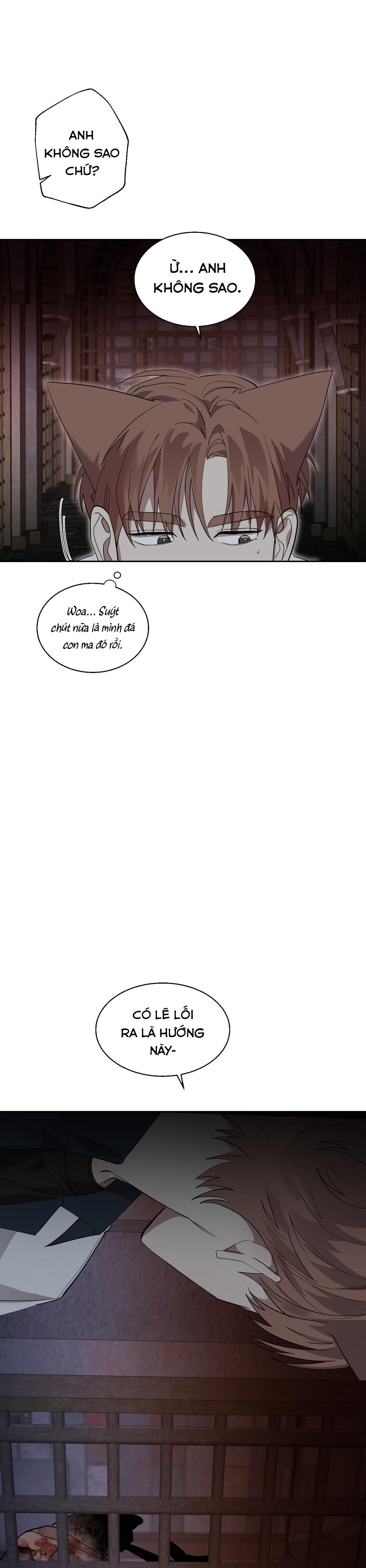 nuốt chửng bóng đêm chapter 20 12