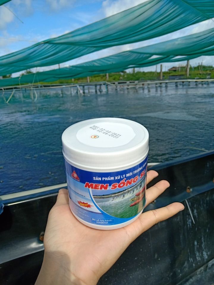 MEN SỐNG SL POND CLEAR - Dùng sinh khối nuôi cấy nhân giống vi sinh