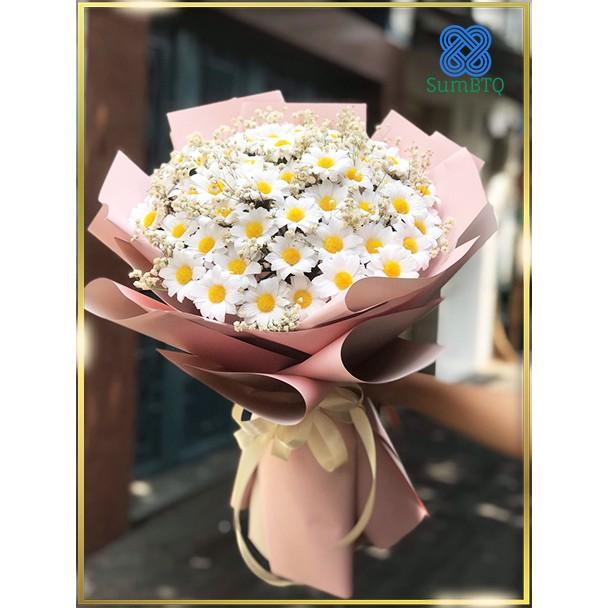 Hoa Giấy Cúc Họa Mi Quà Tặng Kỷ Niệm Dịp Lễ