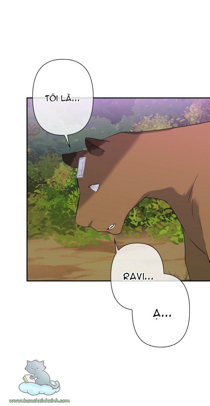 tôi đang nuôi dưỡng một con quái thú chapter 60 60