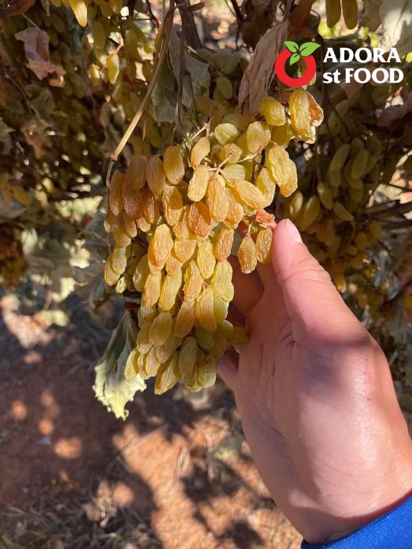 Nho khô nguyên cành THOMPSON Úc Dried Grapes Adora st Food (mẫu Quà Tết 1kg/hộp) ngon, bổ dưỡng, giàu vitamin, khoáng chất tự nhiên-QuaTangMe Extaste