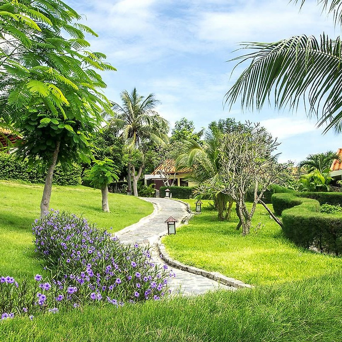 Romana Resort 4* Mũi Né Phan Thiết - Ăn 03 Bữa, Phòng Hướng Biển, Hồ Bơi Lớn, Bãi Biển Riêng Và Nhiều Ưu Đãi Hấp Dẫn