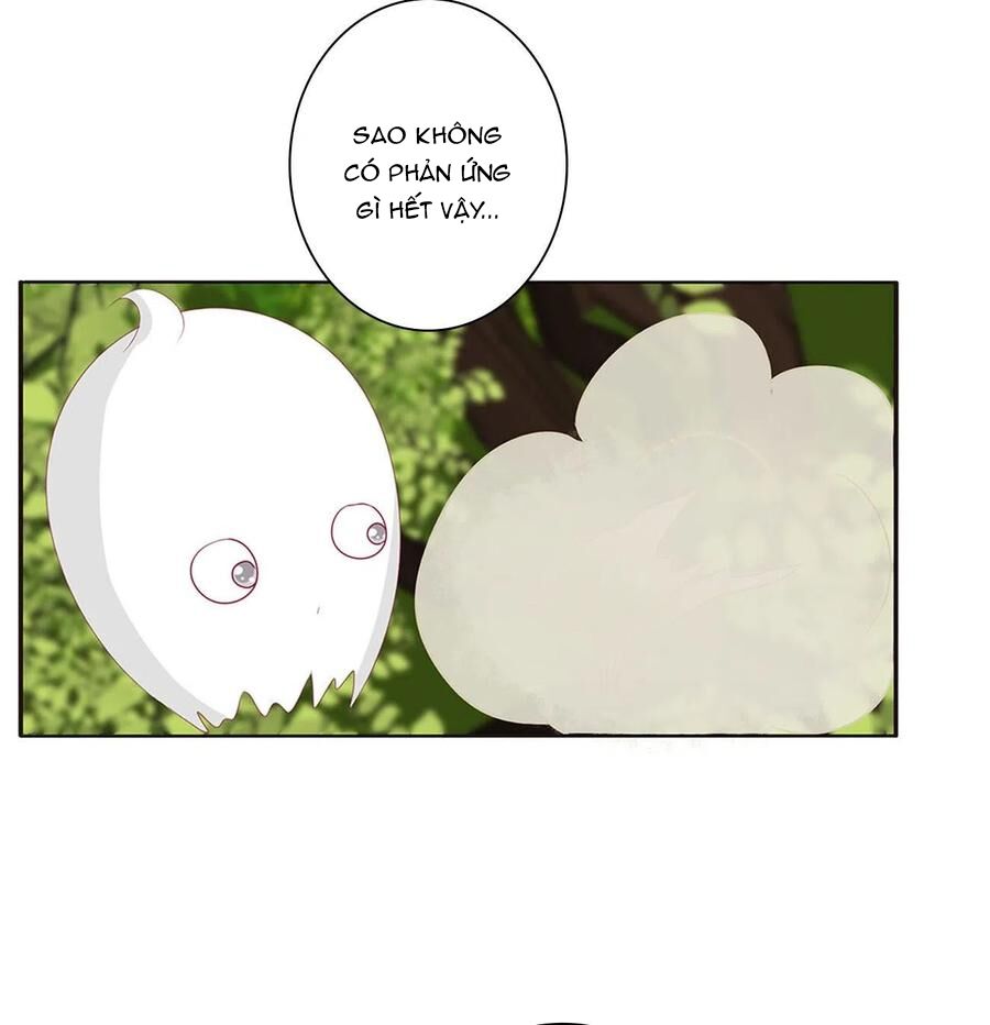 thông linh phi chapter 643 6