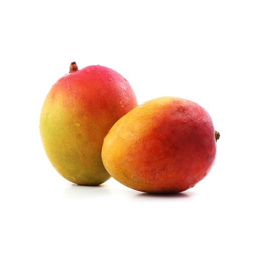 Cây giống xoài úc