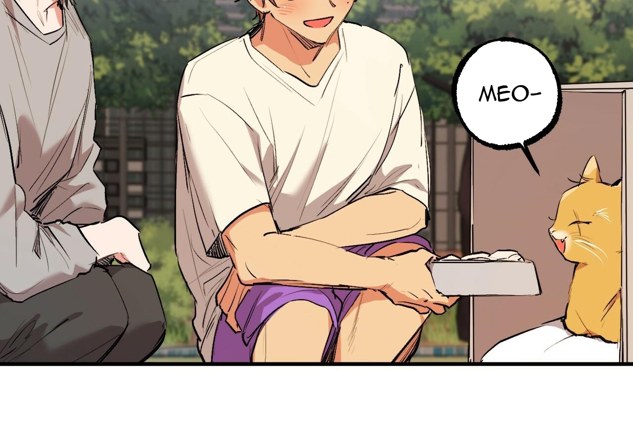 đàn thỏ của habibi chapter 32 69