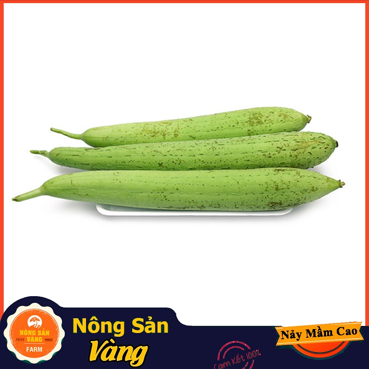 Hạt giống Mướp Hương ( Gói 15 hạt ) - Nông Sản Vàng