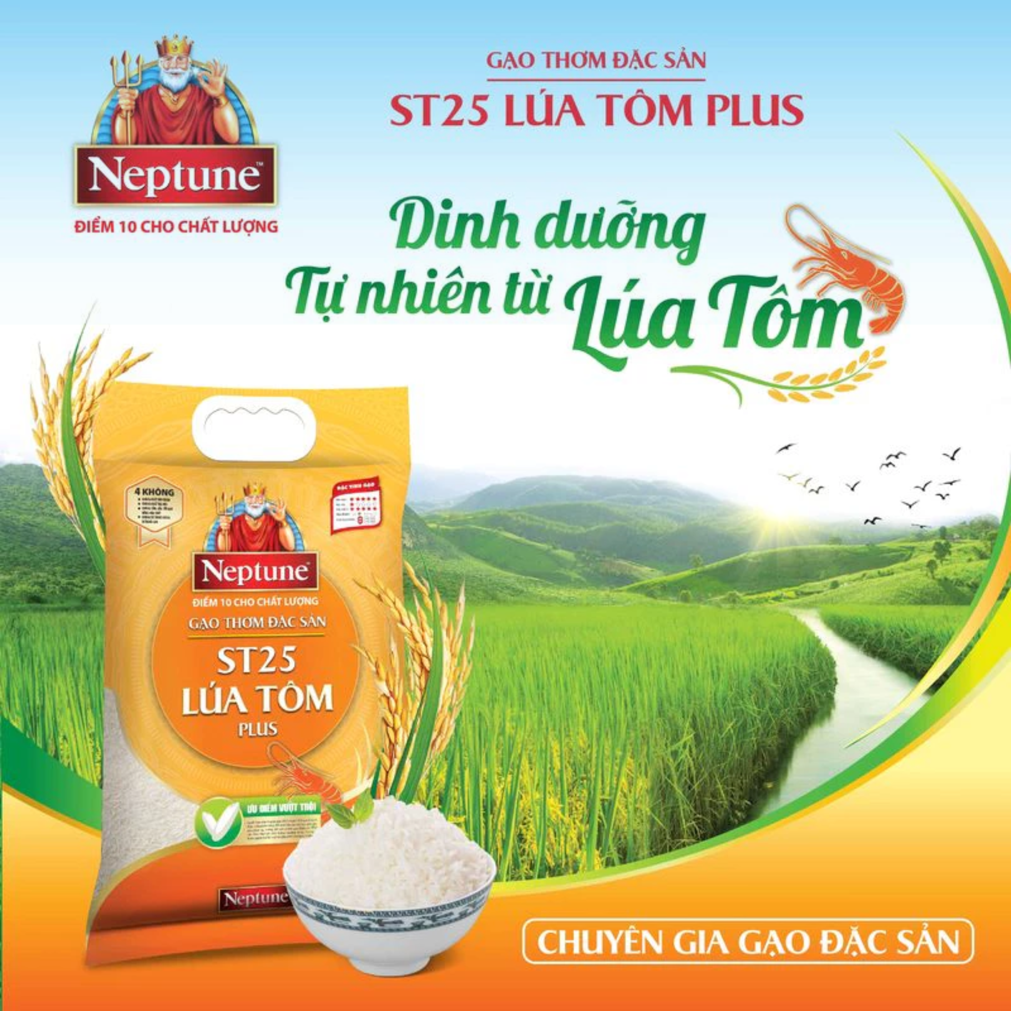 Gạo Thơm Đặc Sản Neptune ST25 Plus Lúa Tôm 5kg