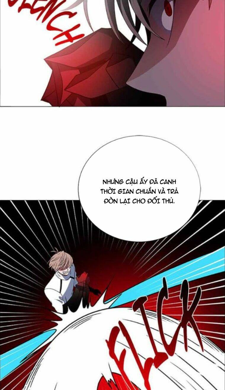 no scope chapter 117 48