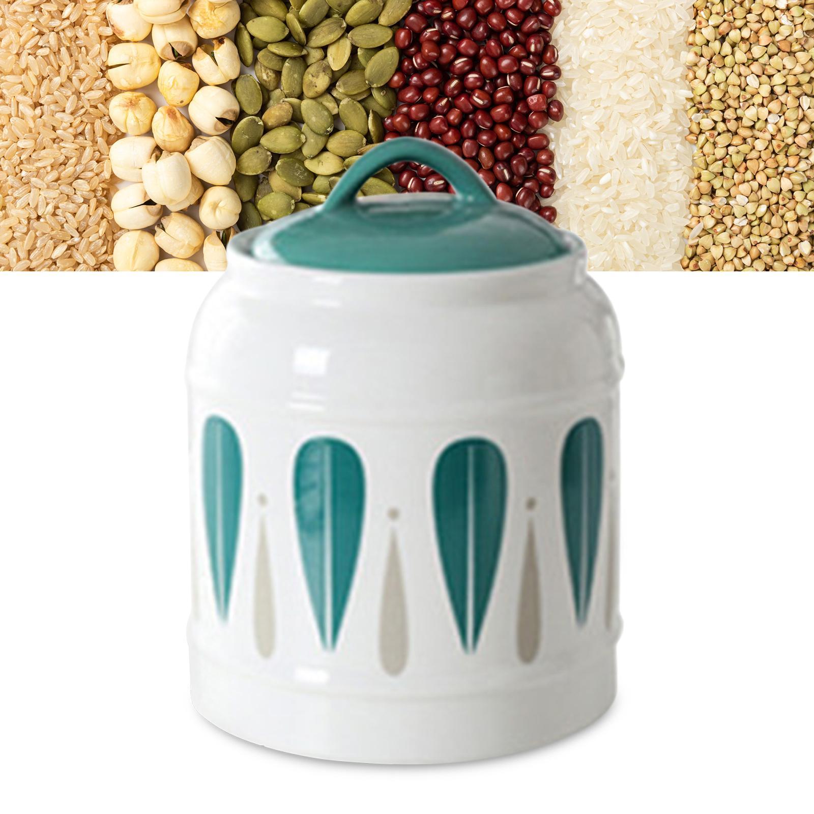 Ceramic Jar with Airtight Lid Food Storage Jar Porcelain Dry Food Container Tea Canister Pet Treat Storage Container for Rice