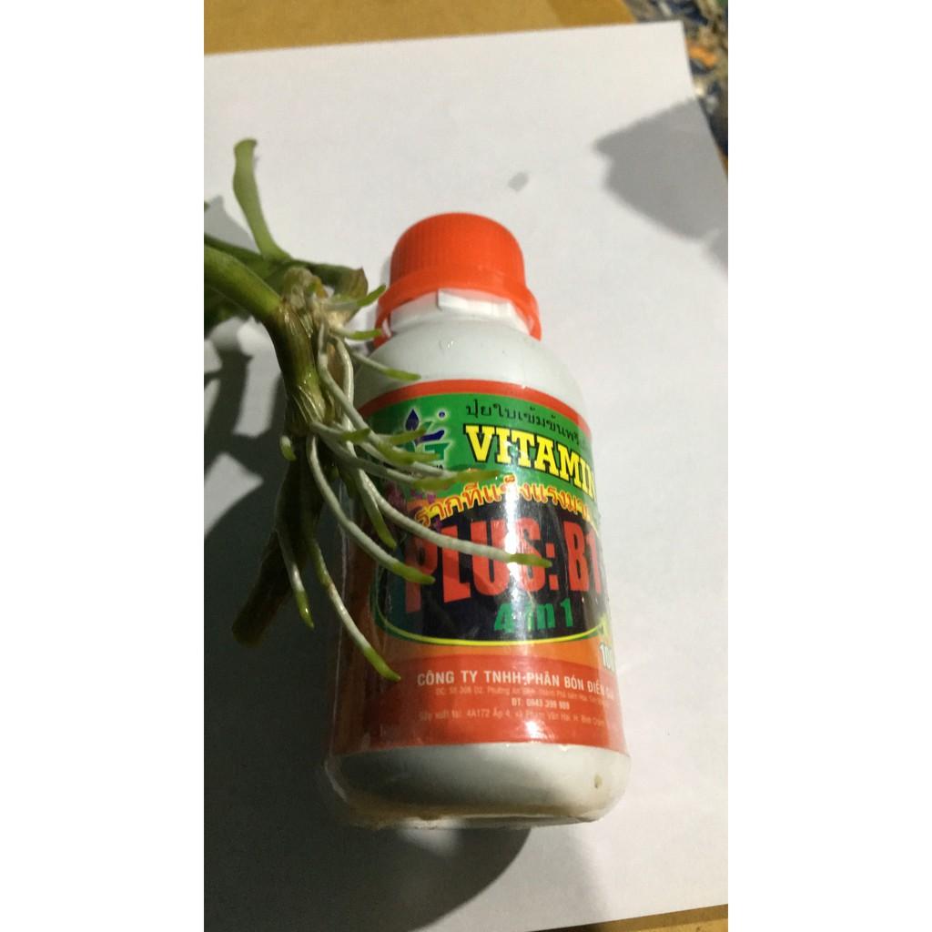 Vitamin B1 Thái nhập khẩu đóng gói tại Việt Nam lọ 100ml