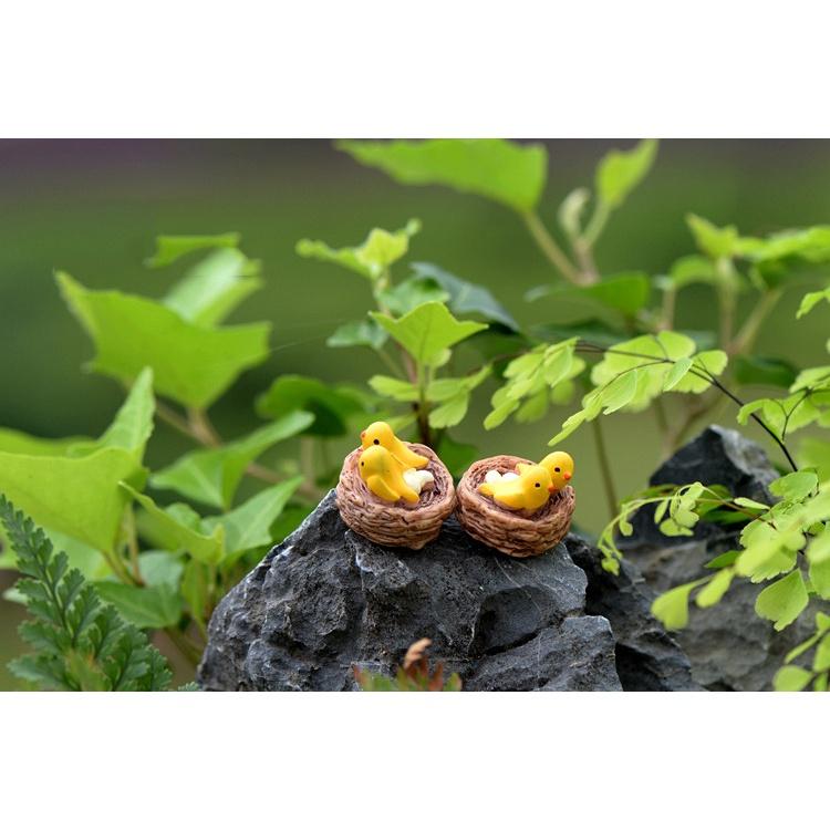 Tiểu cảnh mini ️H052 ️ Tổ chim mini trang trí tiểu cảnh, sen đá, terrarium