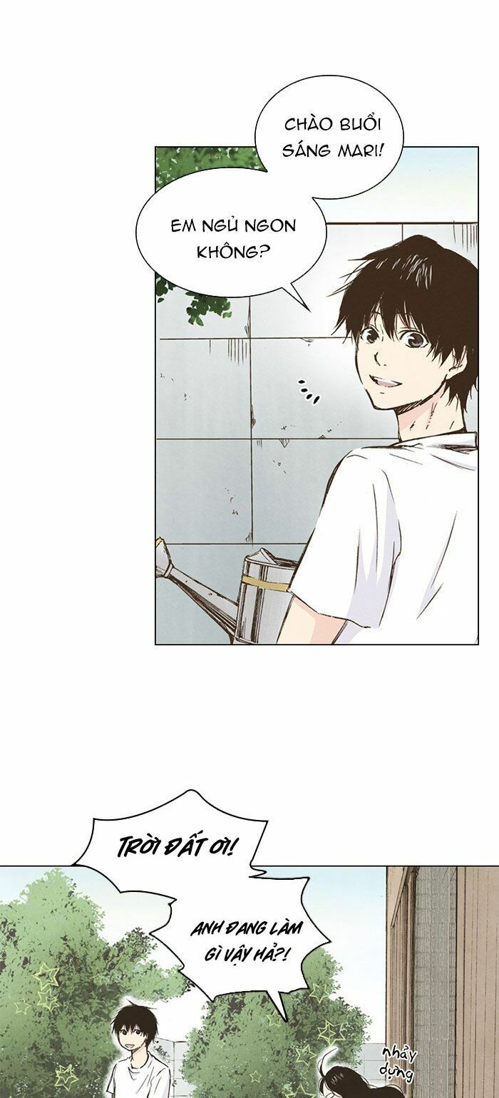 honey! honey! marry me! chapter 39 35