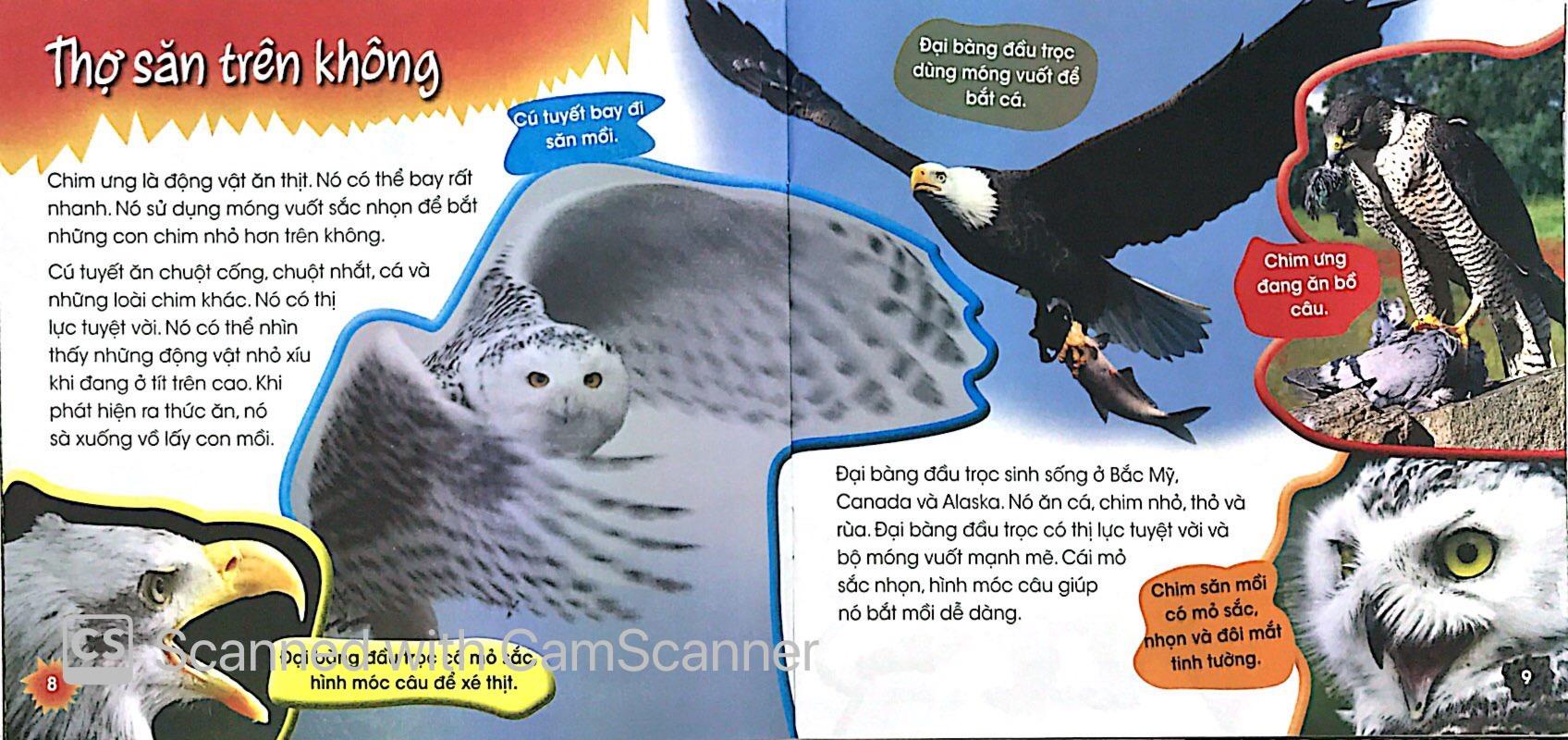 Độc Lạ Phi Thường - Thợ Săn Lành Nghề
