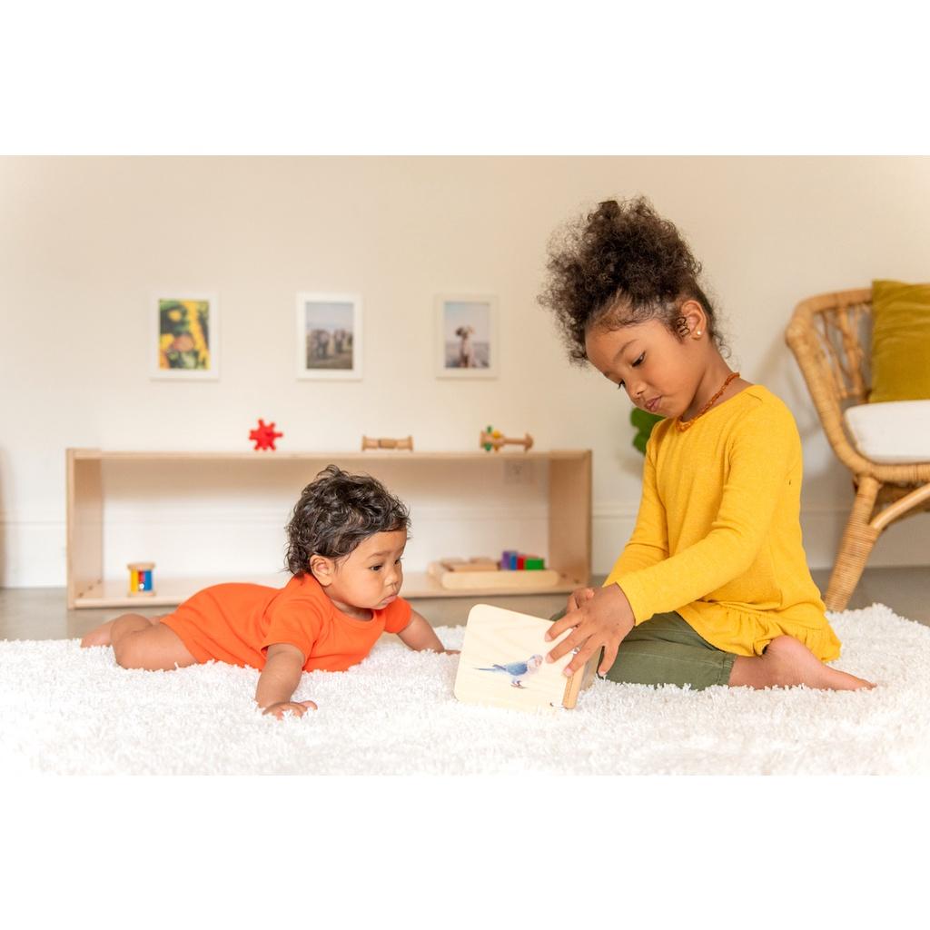 Kệ gỗ montessori Đựng Đồ Chơi Cho Bé, Đồ Dùng Trẻ Em, Bỉm Sữa,Sách Vở Chất Liệu Gỗ Thông tự nhiên
