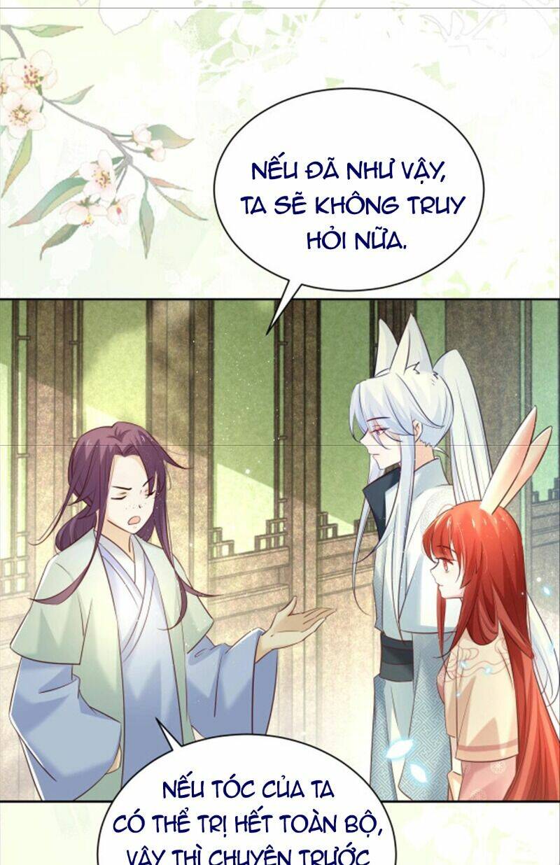hắc hóa nam chính trực tuyến nuôi thỏ chapter 47 24