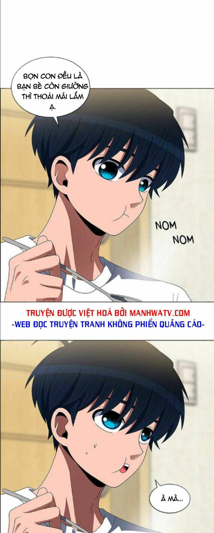 no scope chapter 113 13