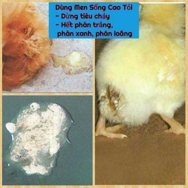 Men sống cao tỏi 1kg