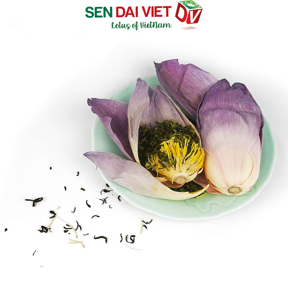 Trà Hoa Sen Sấy Thăng Hoa- Tinh Hoa Thiên Nhiên Việt, Hộp Quà Cao Cấp, ĐV- Sen Đại Việt- Hộp 1 Bông 16g