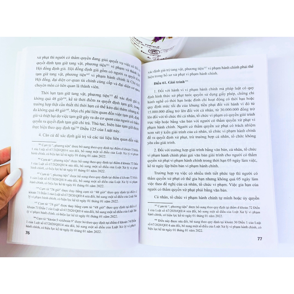 Sách - Luật Xử Lý Vi Phạm Hành Chính - ndbooks