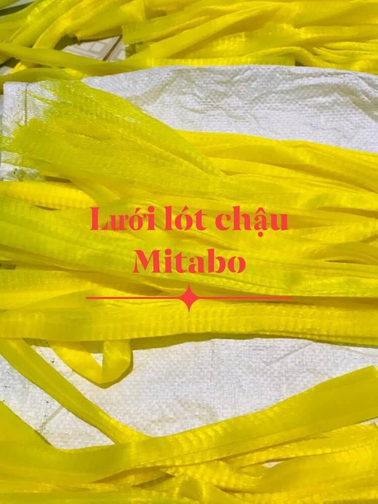 Túi lót chậu chống rơi