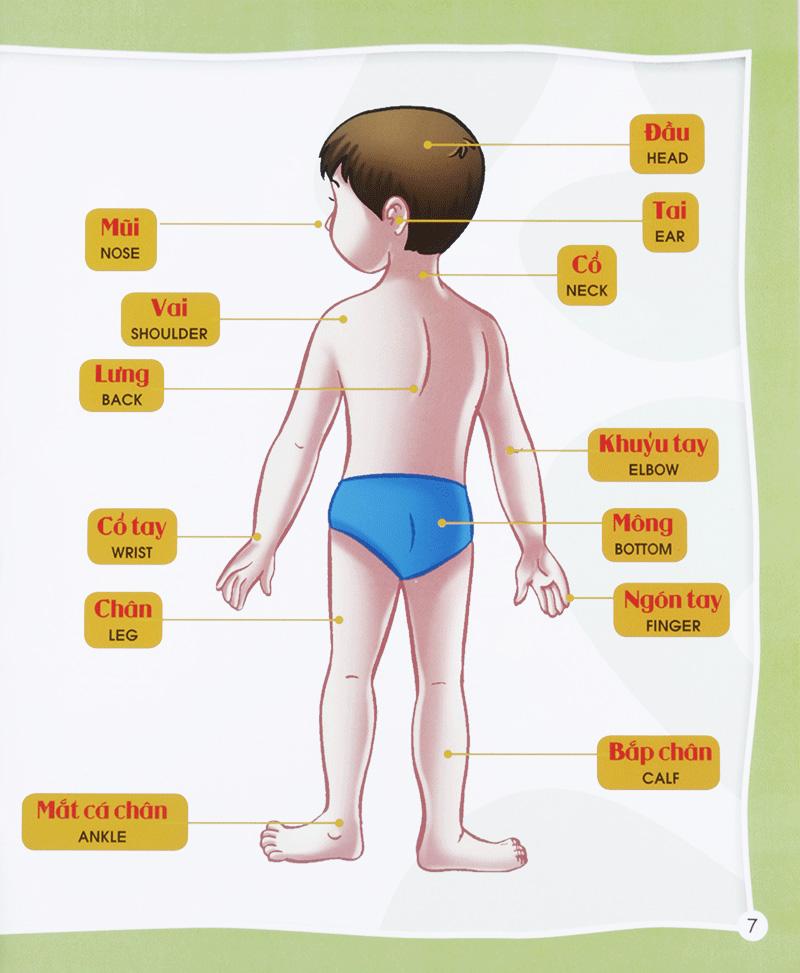 Từ Điển Bằng Hình Của Tôi - Em Thích Khám Phá