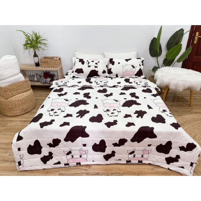 Bộ Chăn Ga Gối Cotton Poly Hè