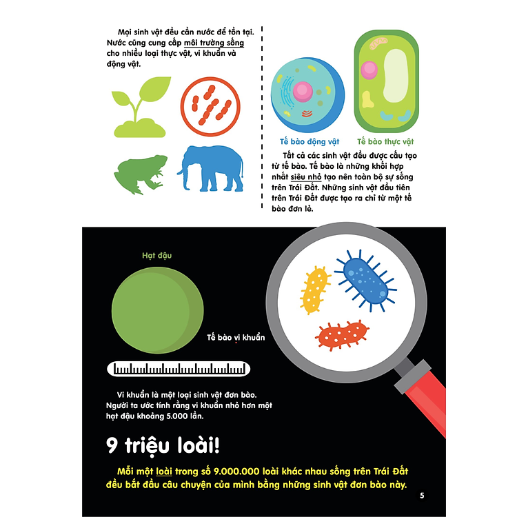 Sách Infographics - Bách khoa tri thức bằng đồ họa cho trẻ em