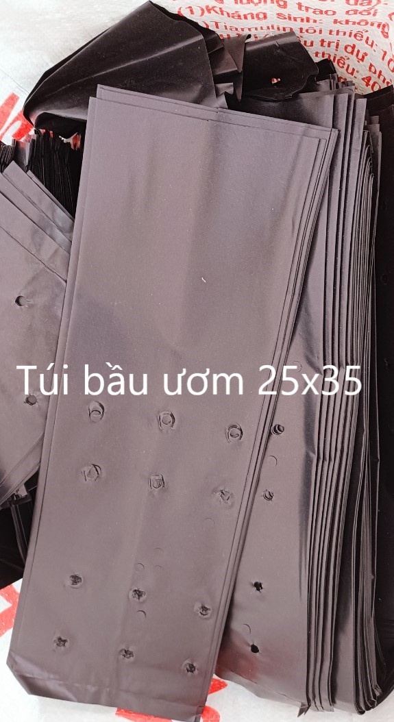 Túi bầu ươm cây giống 25x35cm - 1kg size lớn