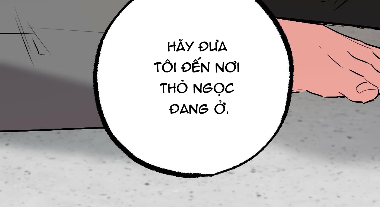 đàn thỏ của habibi chapter 47 194