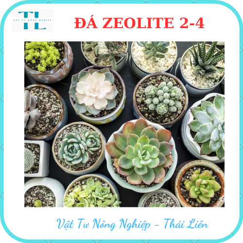 Đá zeolite Greenhome, bao 1kg, size 2-4mm, rãi mặt, giá thể, sen đá, xương rồng, hồ thuỷ sinh