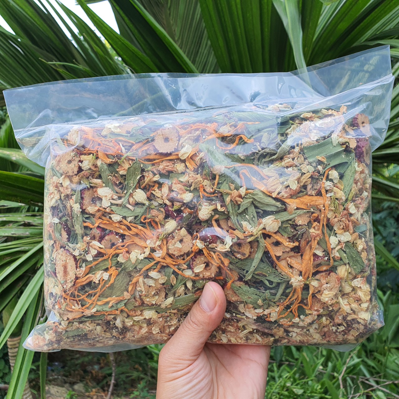 Trà Sơn Mật Hồng Sâm Đông Trùng Táo Đỏ-Túi 500Gr