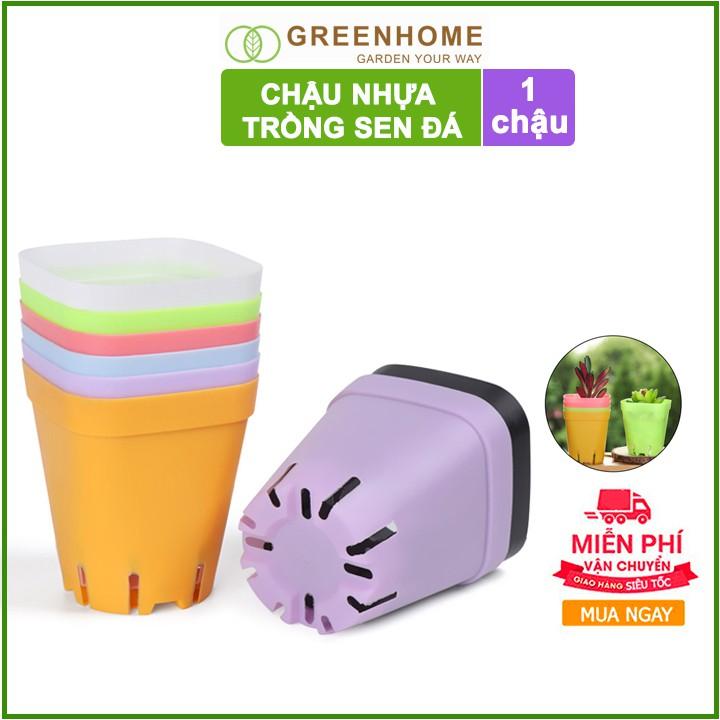 Bộ 5 Chậu nhựa trồng sen đá ,xương rồng, 7x7cm, màu sắc hiện đại