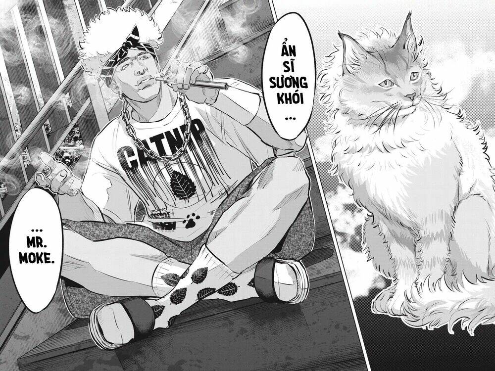 nyankees chapter 11 27